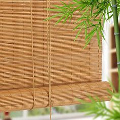 Bamboo Blinds